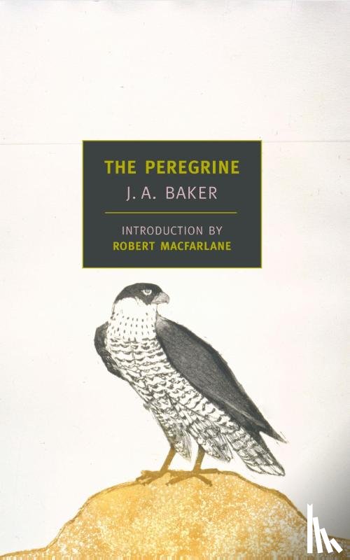 Baker, J A - Baker, J: Peregrine