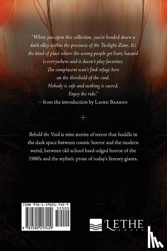 Fracassi, Philip - Behold the Void