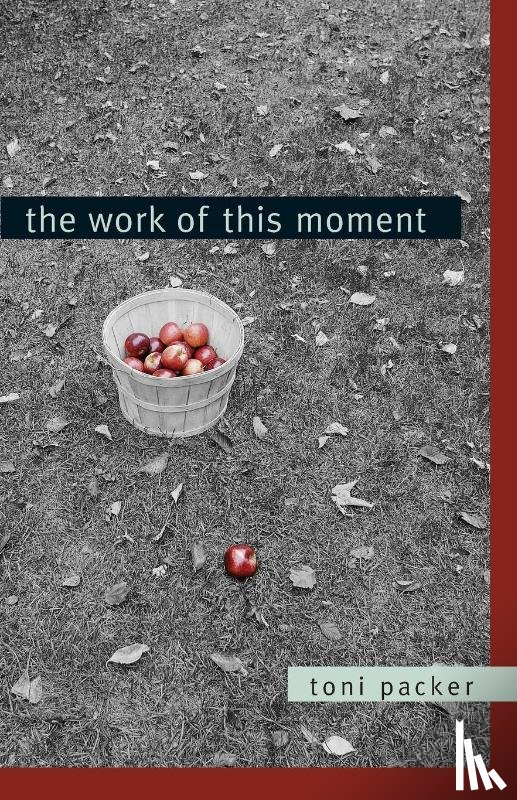 Packer, Toni - The Work of This Moment