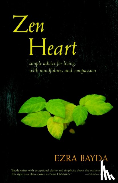 Bayda, Ezra - Zen Heart