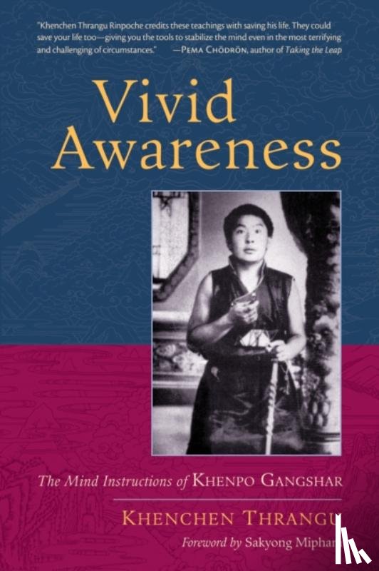 Thrangu, Khenchen - Vivid Awareness
