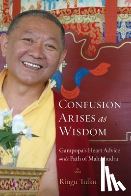 Tulku, Ringu - Confusion Arises as Wisdom
