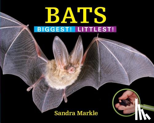 Markle, Sandra - Bats