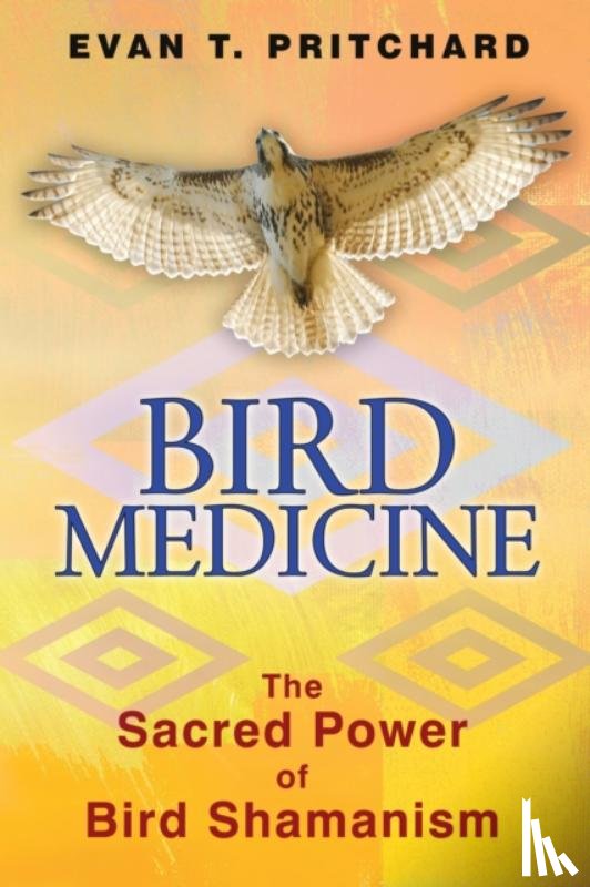 Pritchard, Evan T. - Bird Medicine