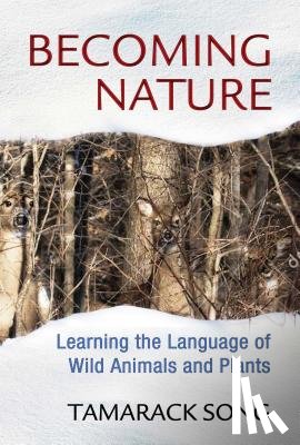 Song, Tamarack - Becoming Nature