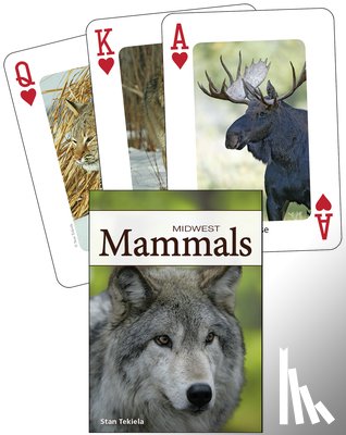 Tekiela, Stan - Mammals of the Midwest