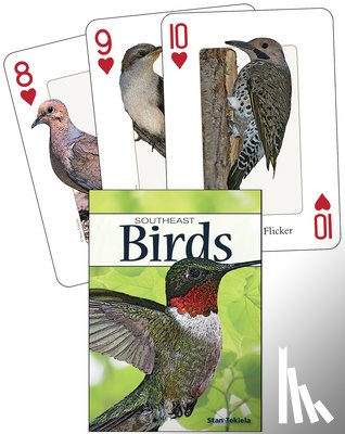 Tekiela, Stan - Birds of the Southeast