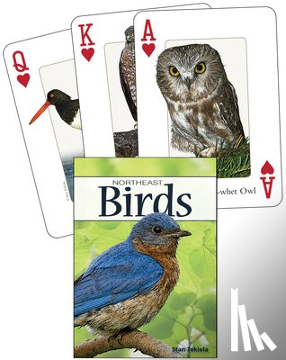 Tekiela, Stan - Birds of the Northeast Playing Cards