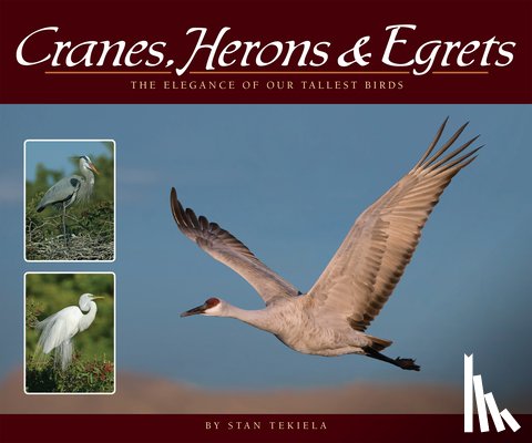 Tekiela, Stan - Cranes, Herons & Egrets