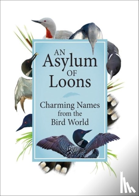 Publications - An Asylum of Loons