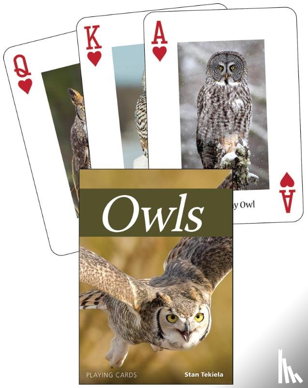 Stan Tekiela - Owls Playing Cards