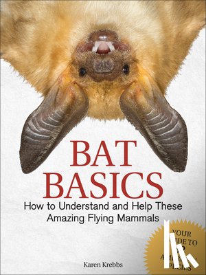 Krebbs, Karen - Bat Basics