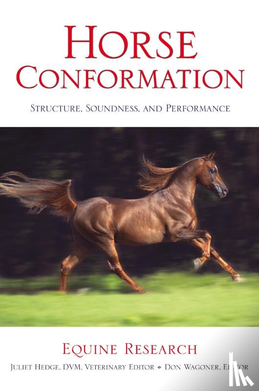 Equine Research - Horse Conformation