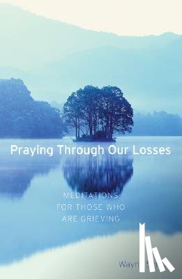Simsic, Wayne - Praying Through Our Losses: Meditations for Those Who Are Grieving