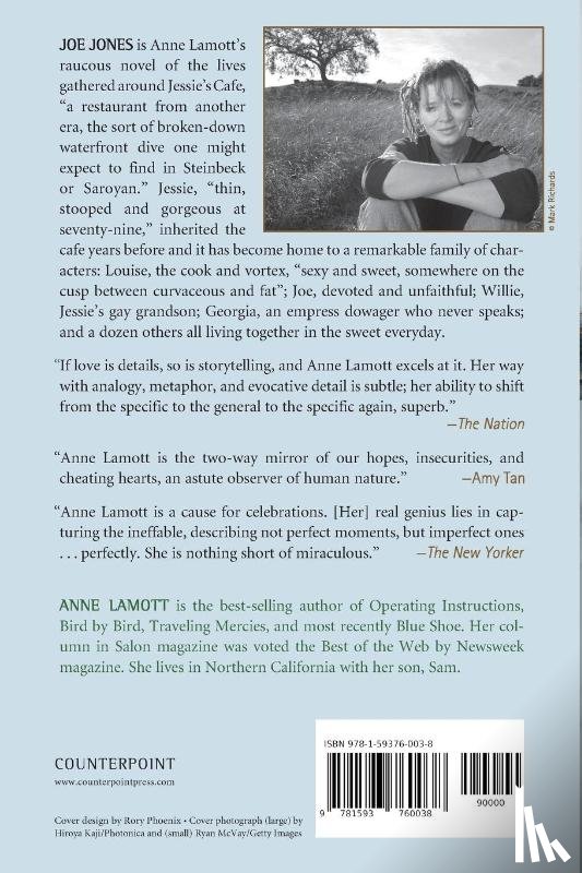 Anne Lamott - Joe Jones