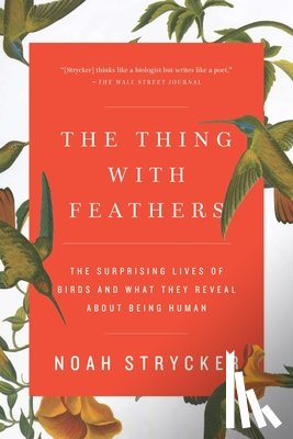 Strycker, Noah - THING W/FEATHERS