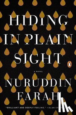 Farah, Nuruddin - Hiding in Plain Sight