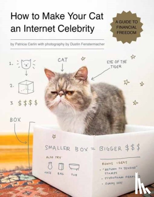 Carlin, Patricia - How to Make Your Cat an Internet Celebrity