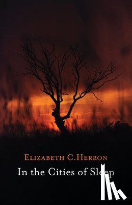 Herron, Elizabeth - In the Cities of Sleep
