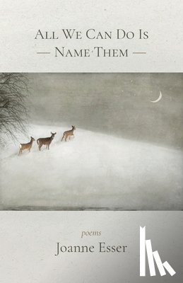 Esser, Joanne - All We Can Do Is Name Them