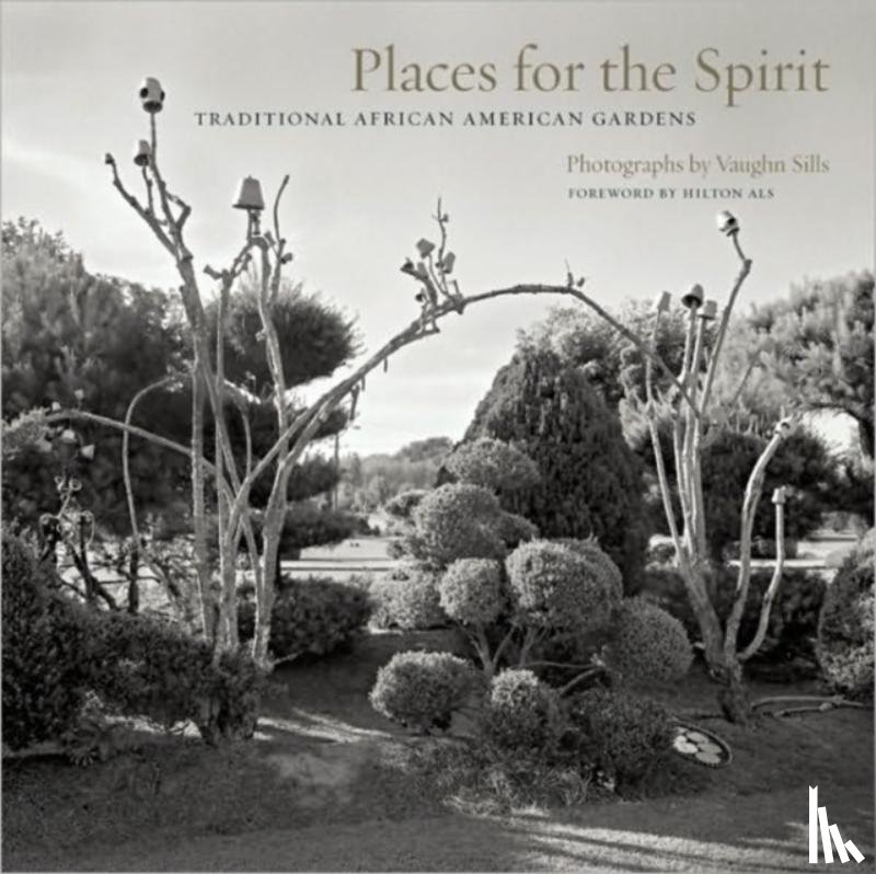 Sills, Vaughn - Places for the Spirit