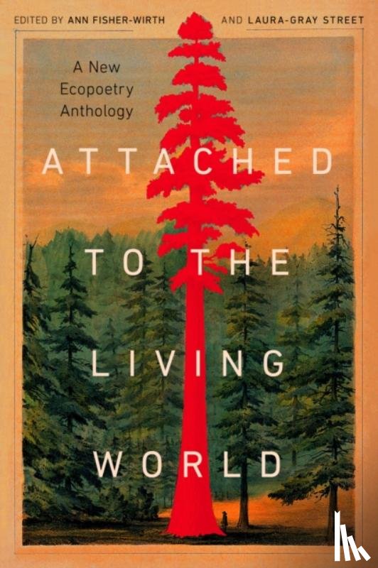  - Attached to the Living World