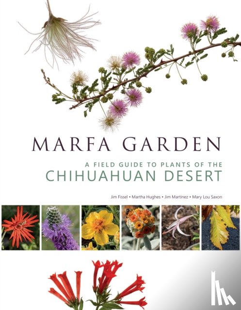 Martinez, Jim, Saxon, Mary Lou, Fissel, Jim, Hughes, Martha - Marfa Garden