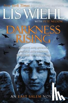 Wiehl, Lis - Darkness Rising