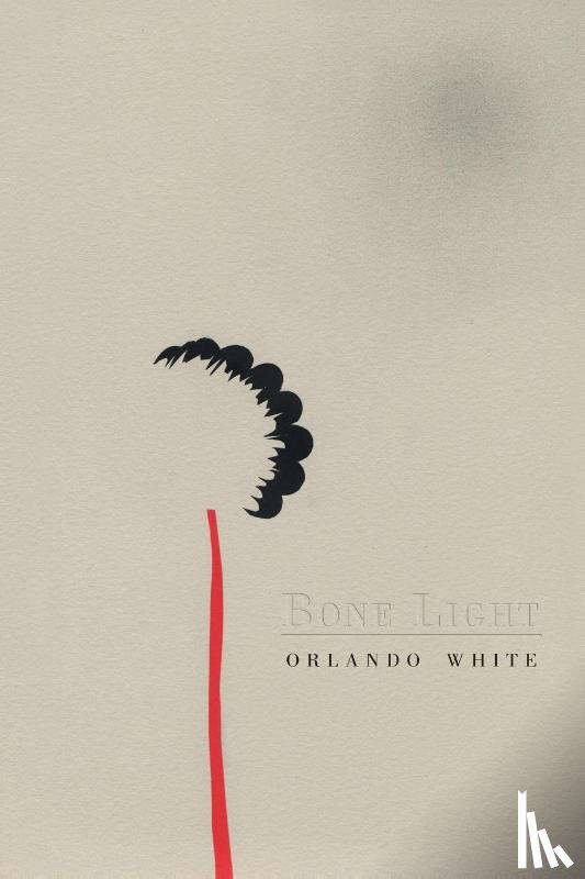 White, Orlando - Bone Light