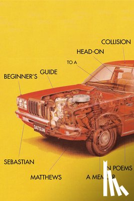 Matthews, Sebastian - Beginner's Guide to a Head-On Collision