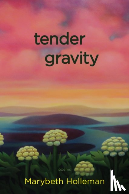 Holleman, Marybeth - tender gravity