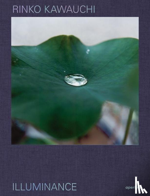 Masatake, Shinohara, Martin, Lesley A., Chandler, David - Rinko Kawauchi: Illuminance
