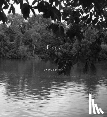 Oliver, Valerie Cassel - Dawoud Bey: Elegy