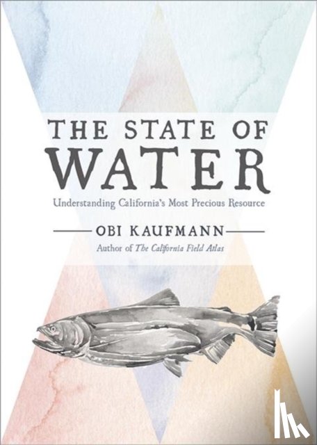 Kaufmann, Obi - The State of Water
