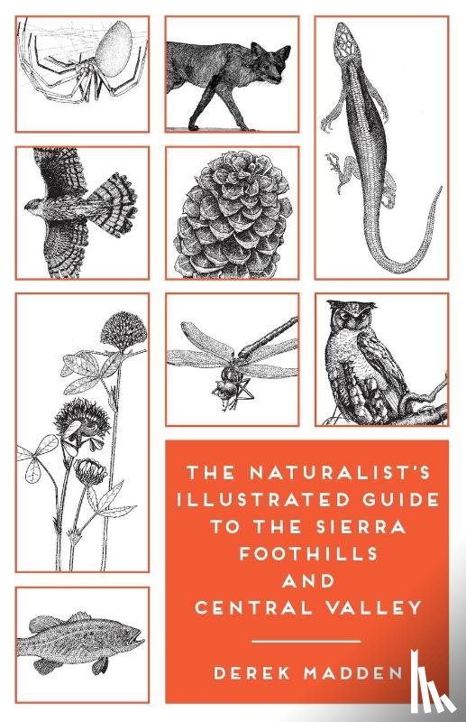Madden, Derek, Charters, Ken, Madden, Erinn - The Naturalist's Illustrated Guide to the Sierra Foothills and Central Valley