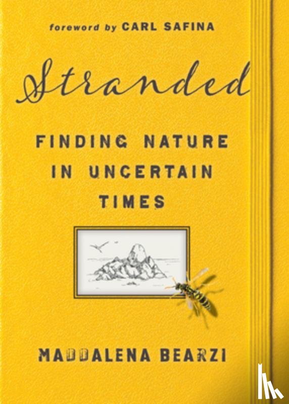 Bearzi, Maddalena - Stranded