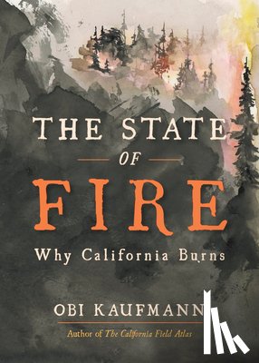 Kaufmann, Obi - The State of Fire
