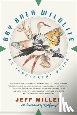 Miller, Jeff - Bay Area Wildlife