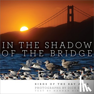 Evans, Dick - In the Shadow of the Bridge