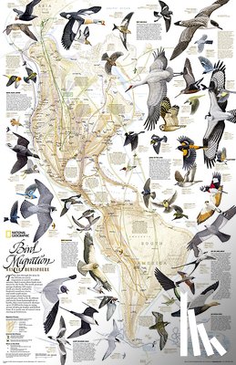 Maps, National Geographic - Bird Migration, Western Hemisphere, Tubed