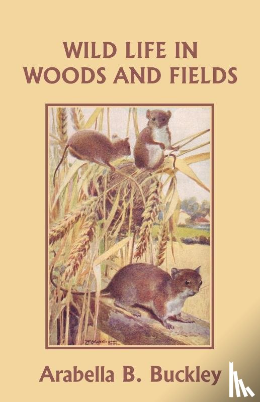 Buckley, Arabella B. - Wild Life in Woods and Fields (Yesterday's Classics)