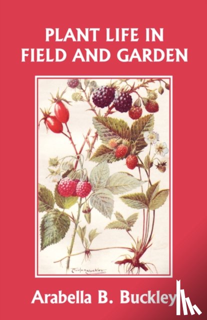 Buckley, Arabella - Plant Life in Field and Garden (Yesterday's Classics)