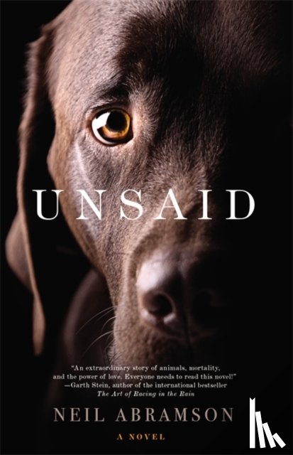 Neil Abramson - Unsaid