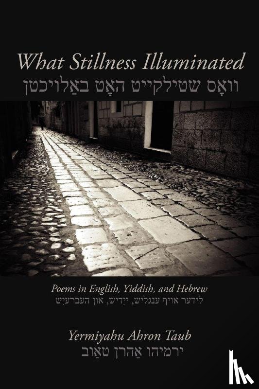 Taub, Yermiyahu Ahron - What Stillness Illuminated: Poems in English, Yiddish, and Hebrew
