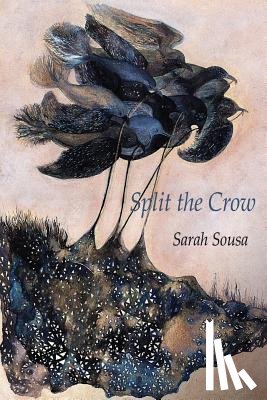 Sousa, Sarah - Split the Crow