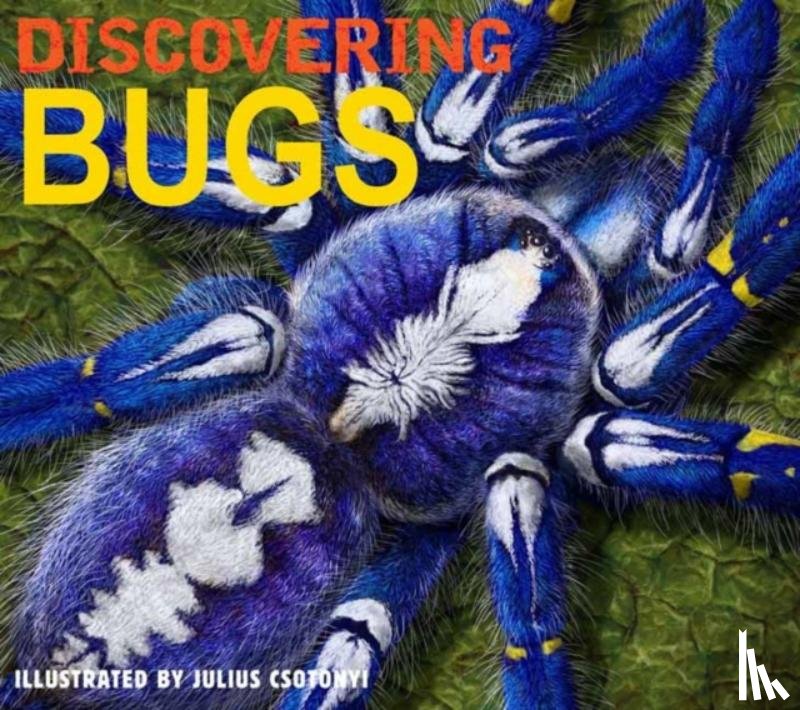  - Discovering Bugs