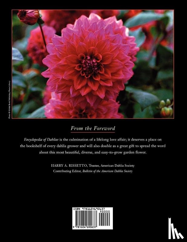 McClaren, Bill - Encyclopedia of Dahlias