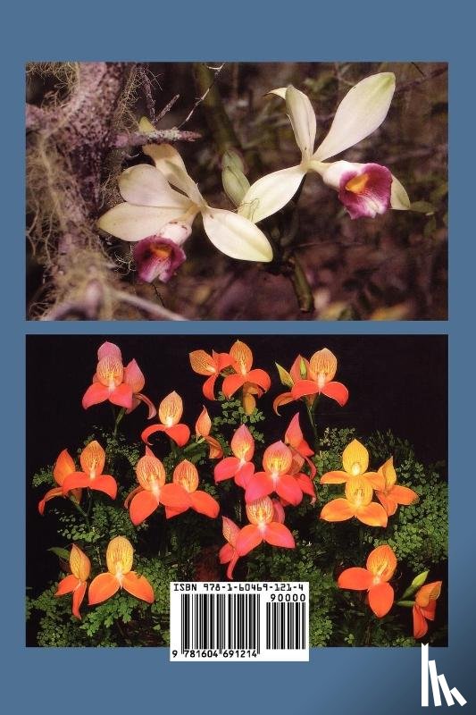 la Croix, Eric, la Croix, Isobyl - African Orchids in the Wild and in Cultivation