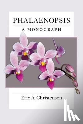 Christenson, Eric - Phalaenopsis