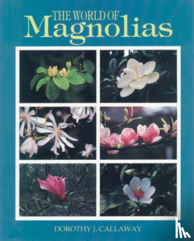 J. Callaway, Dorothy - The World of Magnolias